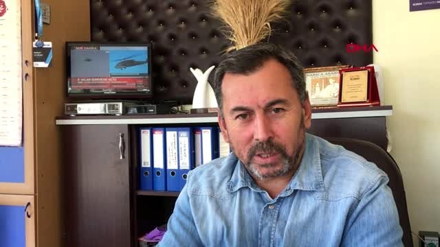 Düden gölü kurudu, flamingoların yaşam alanı daraldı