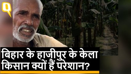 क्या 2019 Lok Sabha Election में Hajipur के केला किसान नेताओं की करेंगे सेहत खराब