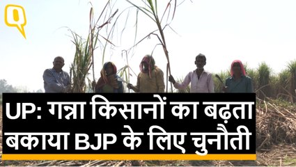 गन्ना किसानों का बढ़ता बकाया,चुनावी मौसम में BJP के लिए चुनौती