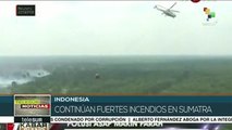 Indonesia sigue en su combate a incendios forestales