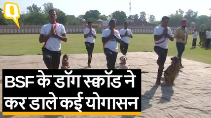 Yoga Day 2019: BSF के Dog Squad ने कर डाले कई योगासन