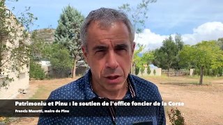 Patrimoniu et Pinu : le soutien de l'office foncier de Corse