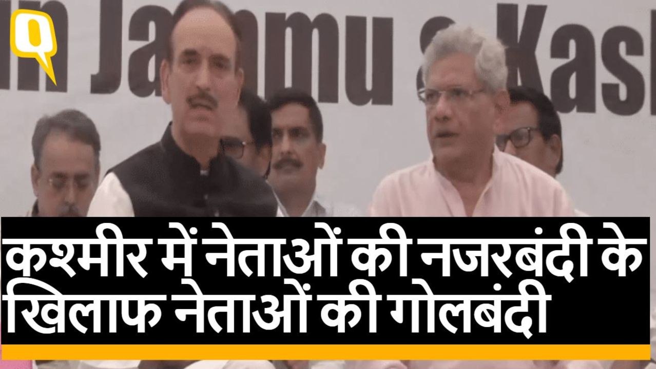 आर्टिकल 370 हटाए जाने के खिलाफ जंतर-मंतर पर विप...
