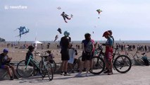 Hundreds of kites flown in Toronto at last week of summer party