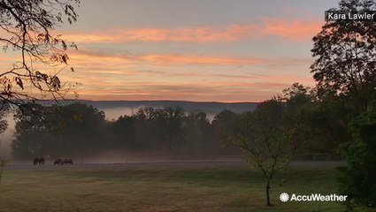 Foggy first sunrise of the fall season