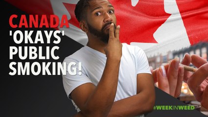 This Week in Weed: Canada &#x27;Okays&#x27; Public Smoking!