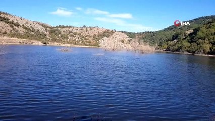 Barajdaki balık ölümleri balıkçıları endişelendirdi