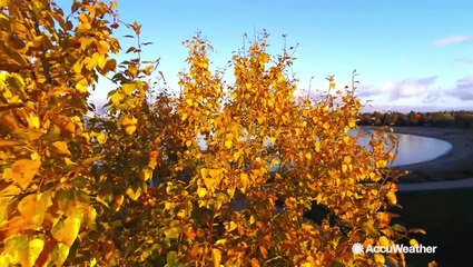 Autumnal Equinox marks beginning of fall