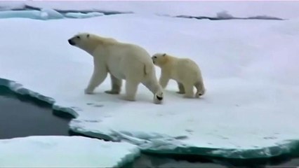 Потепление не по графику