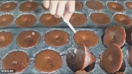 Produk Gula Aren Kotabaru Kurang Perhatian Pemda