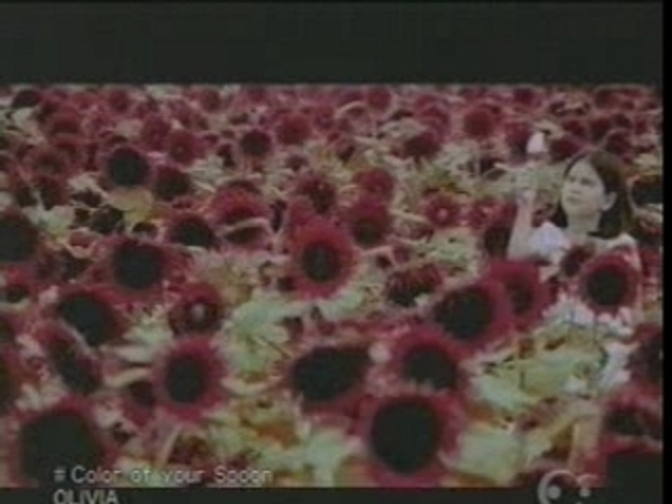 Olivia Lufkin - Color of Your Spoon