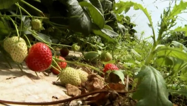 Great British Railway Journeys - S01 - E12 - Yatton To Weston Super-Mare