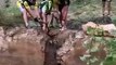 Des cyclistes trouvent un cerf coincé dans un trou et l'en sortent (Espagne)