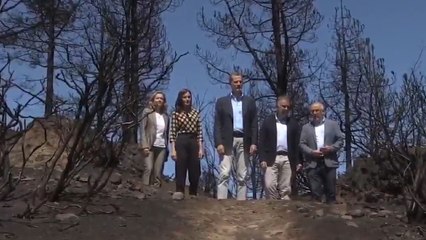 Los Reyes sobrevuelan Gran Canaria para ver los daños del incendio
