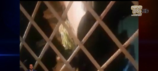 Banda de extorsionadores fueron capturados en operartivos realizado en tres diferentes provincias