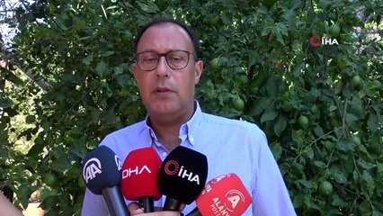 Thomas Cook iflasının ardından Antalyalı turizmciler zararı an aza indirmeyi hedefliyor