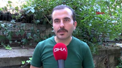 Balon balığı, 8 yaşındaki çocuğun parmağının yarısını kopardı