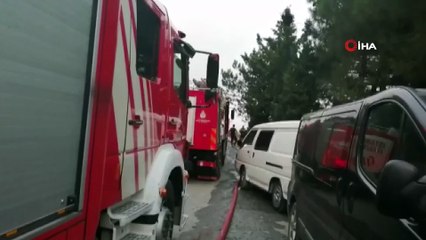 - Pendik'te orman yakan zanlı Y.A., çıkarıldığı mahkemece tutuklanarak cezaevine gönderildi.