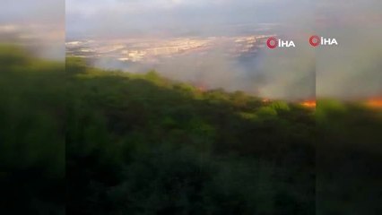 - Pendik'te orman yakan zanlı Y.A., çıkarıldığı mahkemece tutuklanarak cezaevine gönderildi.