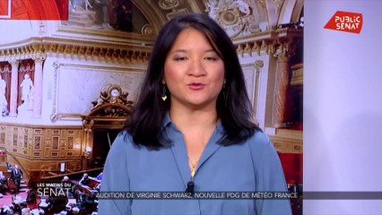 Audition de Virginie Schwartz, nouvelle PDG de Météo France - Les matins du Sénat (19/09/2019)