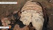 Ancient Egyptians Mummified This Crocodile With Last Meal In Stomach