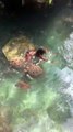 Swimming with Sea Turtles