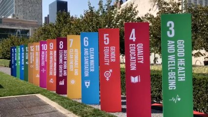 Vignettes from #UNGA74