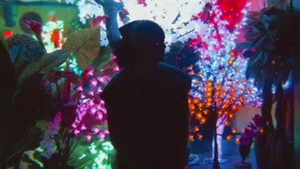 Social Club Misfits - Stones