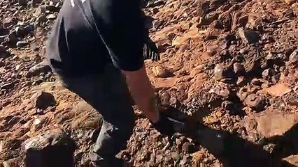 Bombeiro da Itaipu é baleado ao presenciar assalto em Foz do Iguaçu