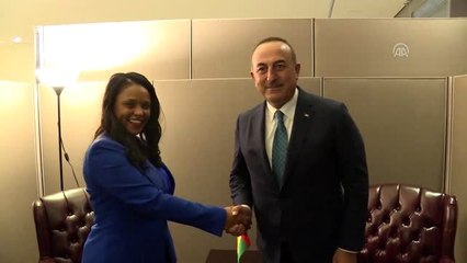 Dışişleri Bakanı Çavuşoğlu, Gine Bissaulu mevkidaşıyla görüştü - NEW