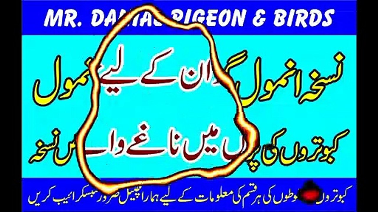 Anmol Pani Kabootron ki timing Barhany wala Anmol Pani