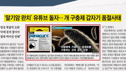 [앵커 pick] 갑자기 품절된 개 구충제, 이유는? 外 / YTN
