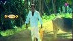 Goundamani Senthil Very Special Comedy Tamil Comedy Scenes Goundamani Funny Comedy Mixing