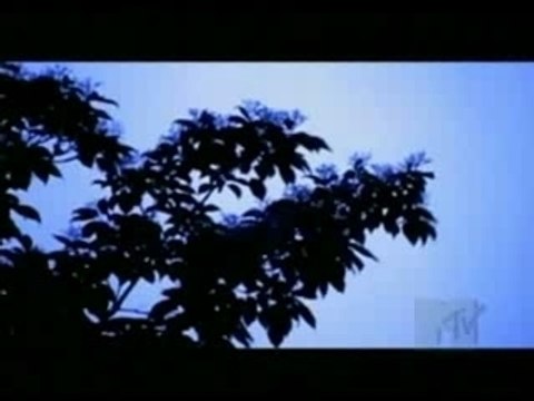 Olivia Lufkin - Into The Stars