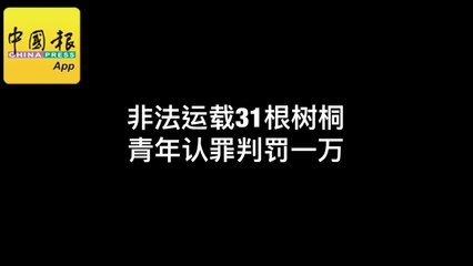 非法运载31根树桐  青年认罪判罚1万
