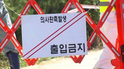 인천 강화서 의심 사례..."확진 농장간 역학 관계 확인" / YTN