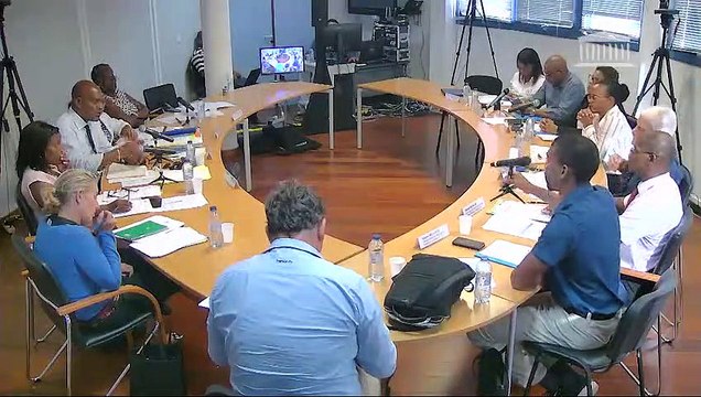 Impact du chlordécone et du paraquat : auditions en Guadeloupe (suite) - Samedi 21 septembre 2019