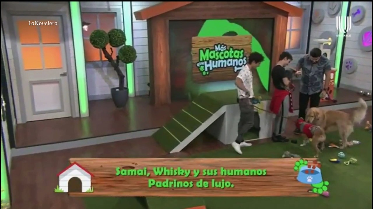 Emilio y Joaquin-  Más mascotas que humanos