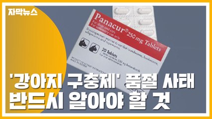 [자막뉴스] 때아닌 '강아지 구충제' 품절 사태, 반드시 알아야 할 것 / YTN