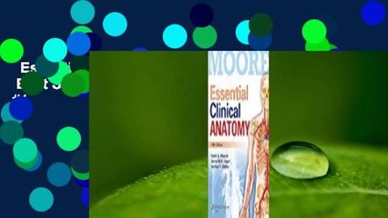 Essential Clinical Anatomy  Best Sellers Rank : #1