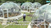 Panama project simulates effect of climate change on tropical plants