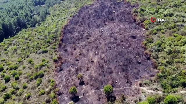 Aydos Ormanı'nda kundaklama sonucunda yanan ormanlık alandaki tahribat havadan görüntülendi