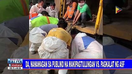 DA, nanawagan sa publiko na makipagtulungan vs pagkalat ng ASF