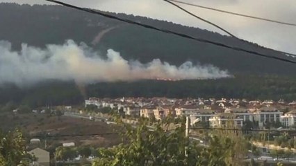 Pendik'teki orman yangınıyla ilgili flaş gelişme! Tutuklandı