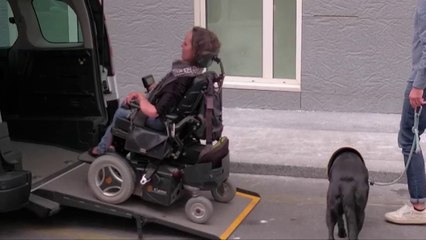 Auto - Location de voitures adaptées