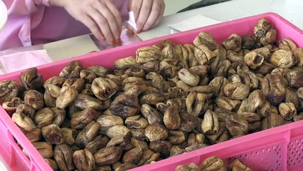 Kraliyet ailelerinin incir tercihi Ege'den - AYDIN