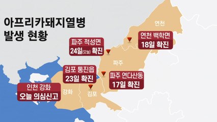 [뉴스큐] 김포·파주 이어 인천 강화서 의심사례...방역 사각지대 없나? / YTN