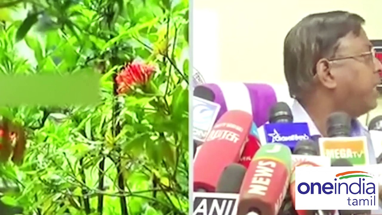 இன்று 15, நாளை 9 மாவட்டங்களில்  கன மழை பெய்யும்..வானிலை மையம் தகவல்-வீடியோ