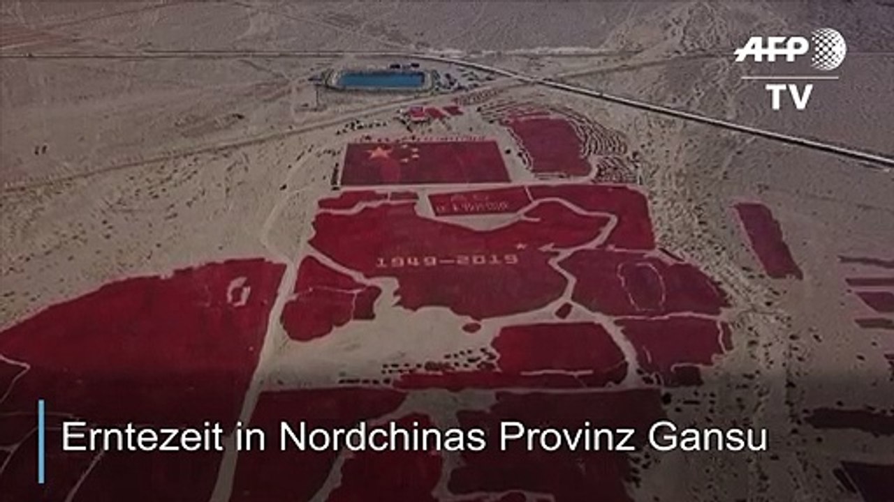 Scharf! china aus chili-schoten