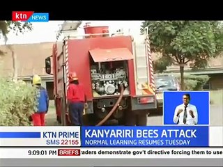 Bees attack students at a school in Kiambu